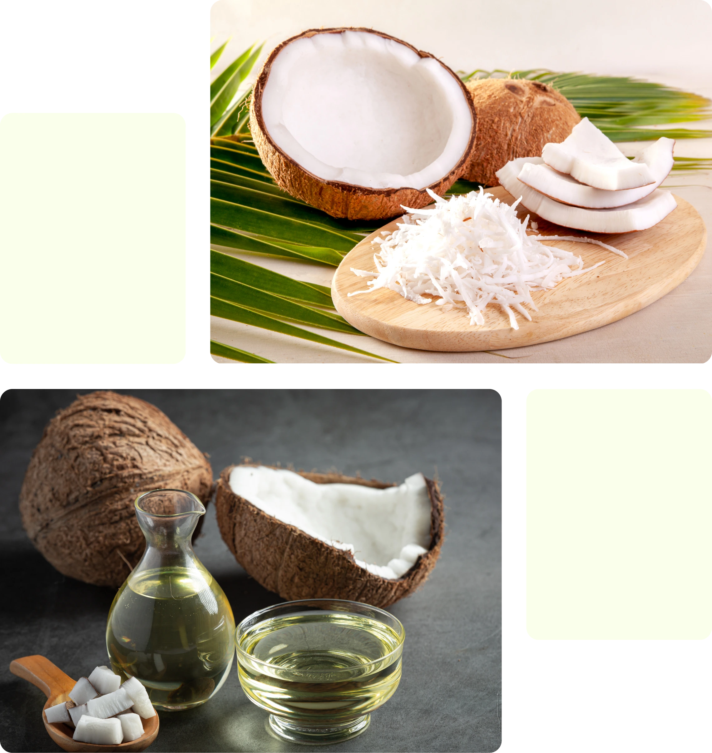 Coconut Oil - Category Oils Tradeasia
