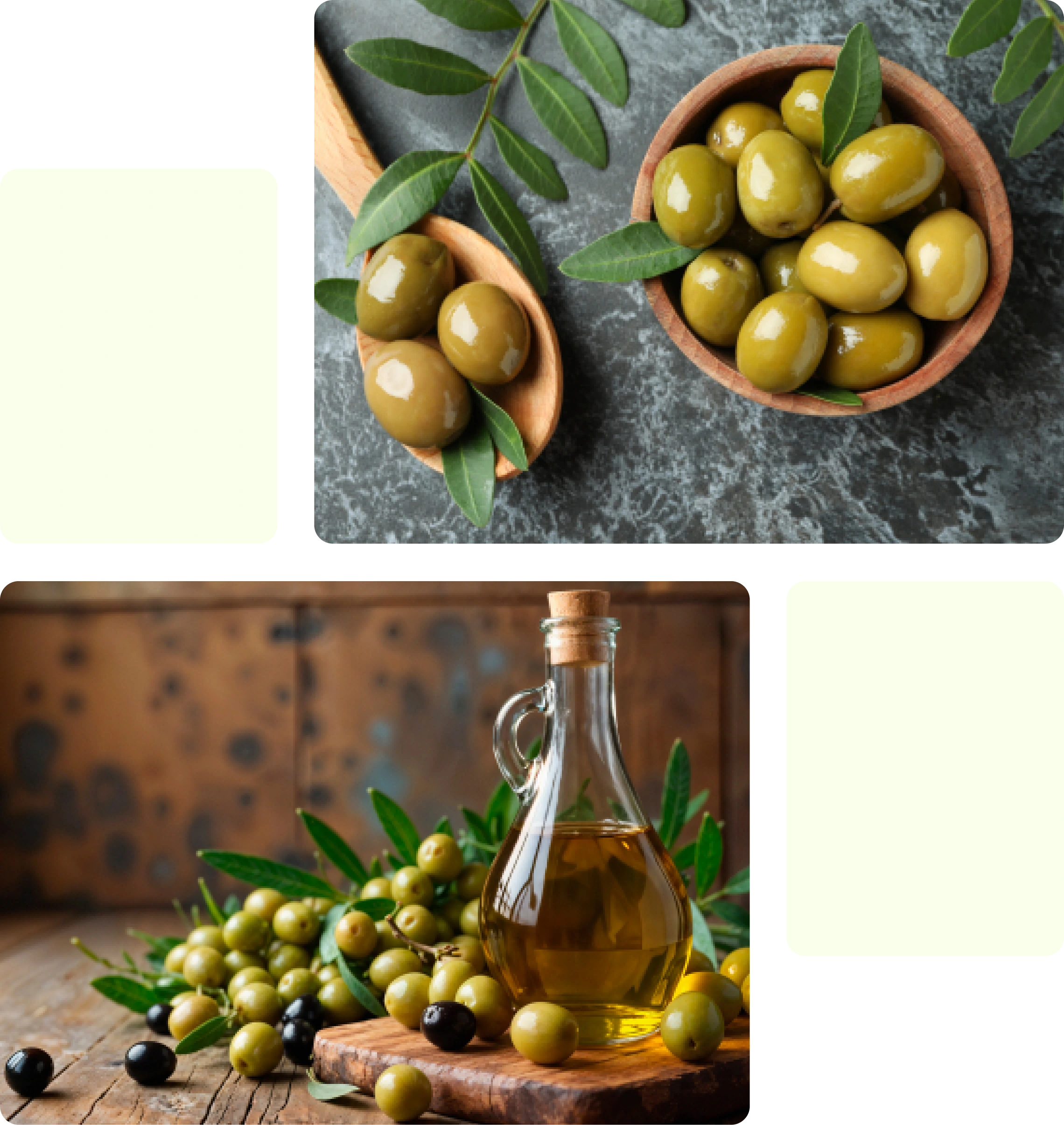 Olive Oil - Category Oils Tradeasia