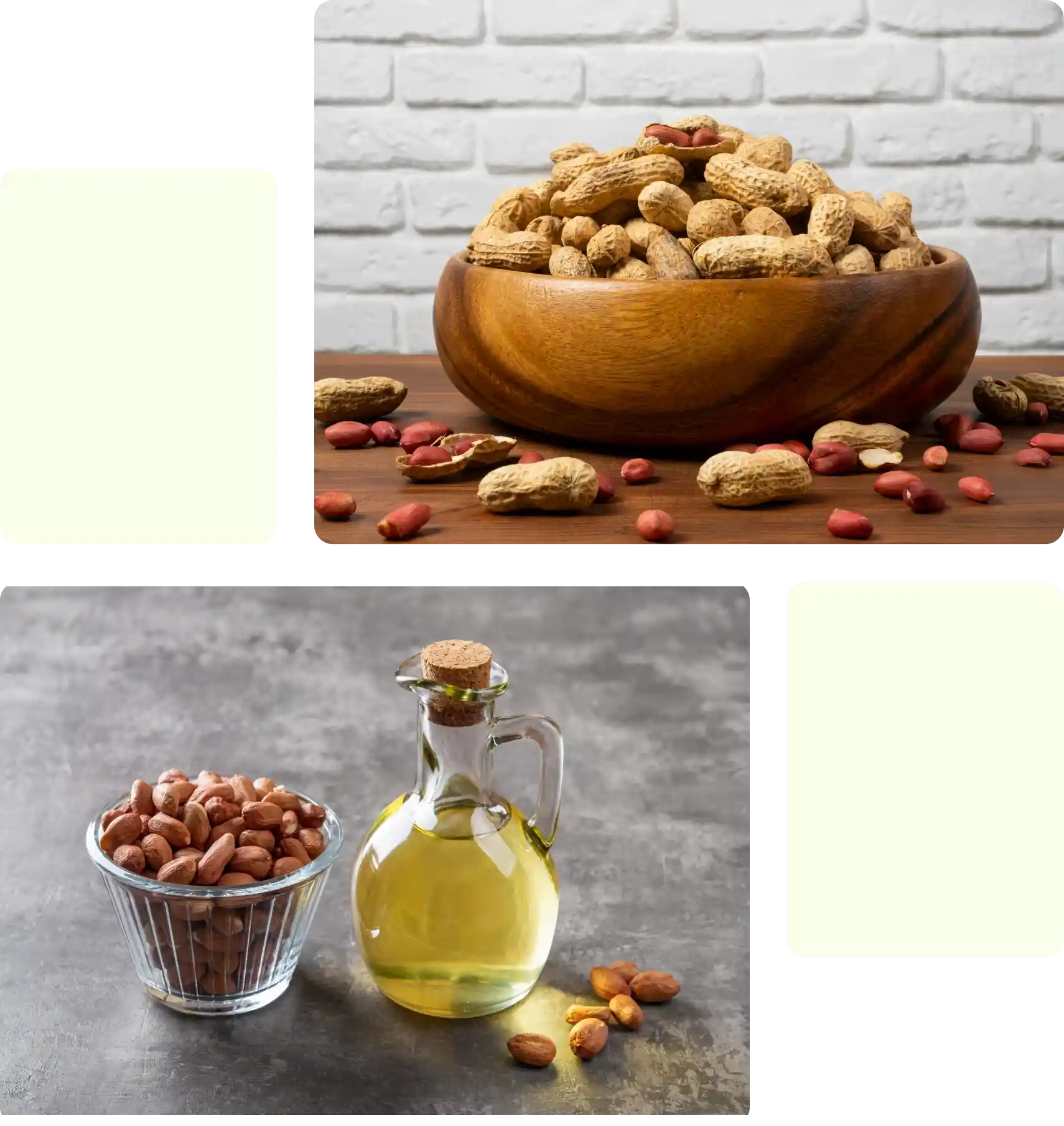 Peanut Oil - Category Oils Tradeasia