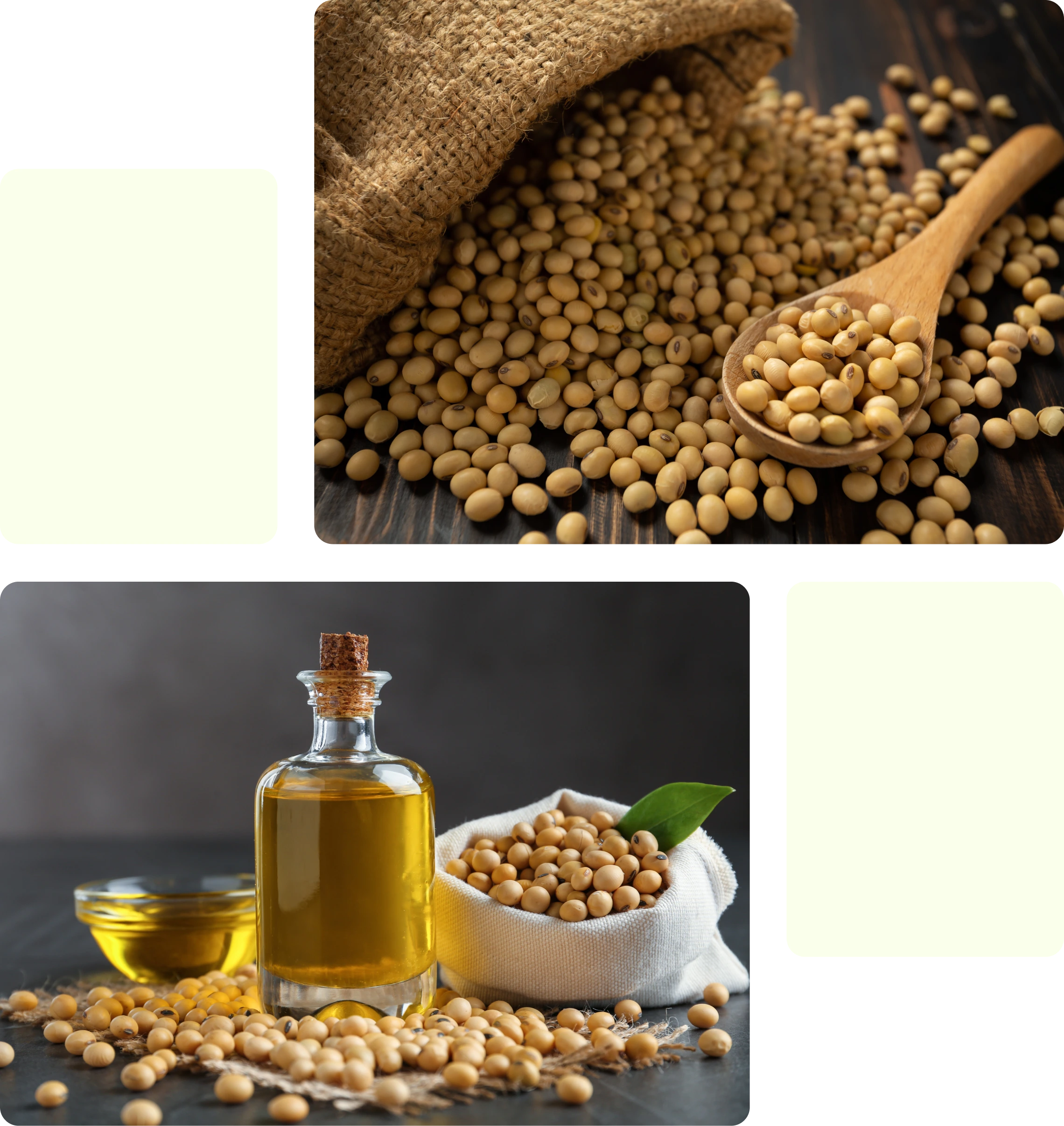 Soybean Oil - Category Oils Tradeasia